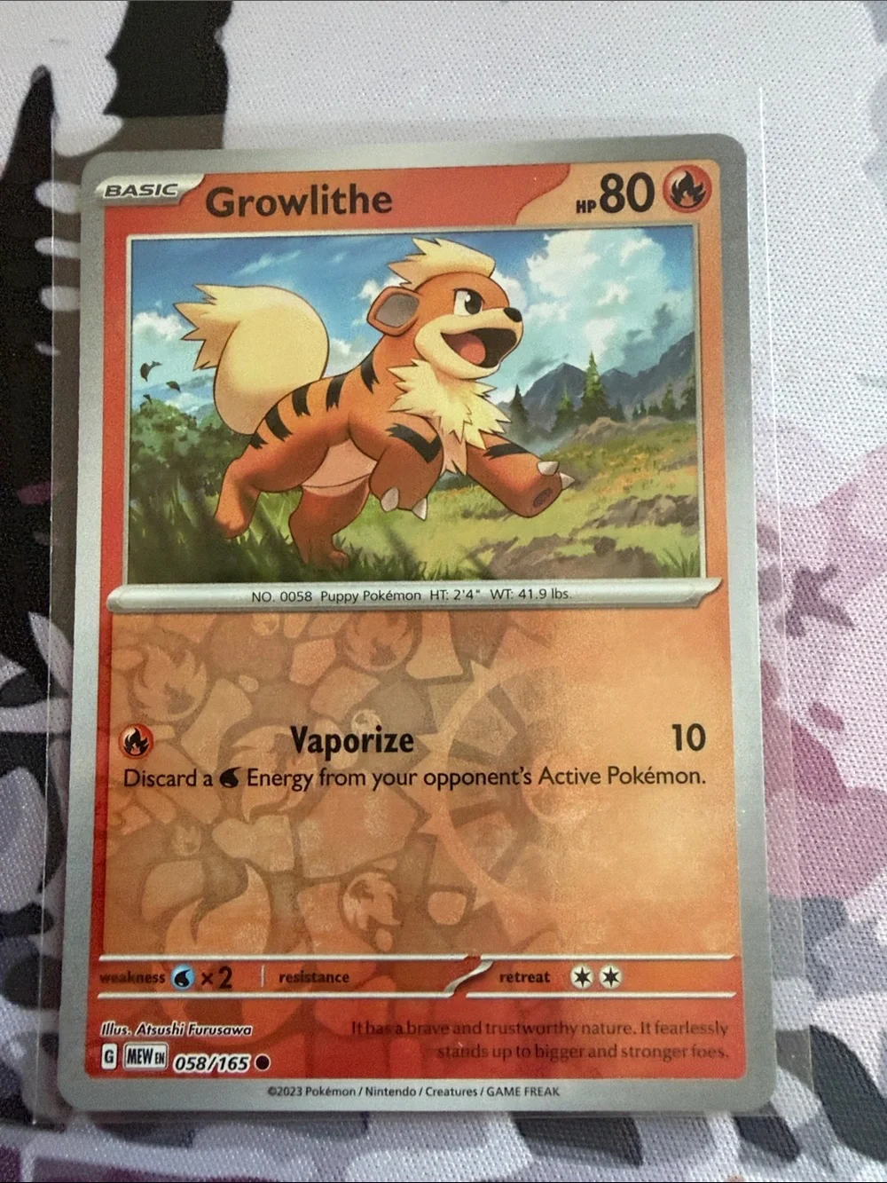 Growlithe & Arcanine Evolution Lot | 4 Cards | Holo Reverse Holo ✨5/$25✨